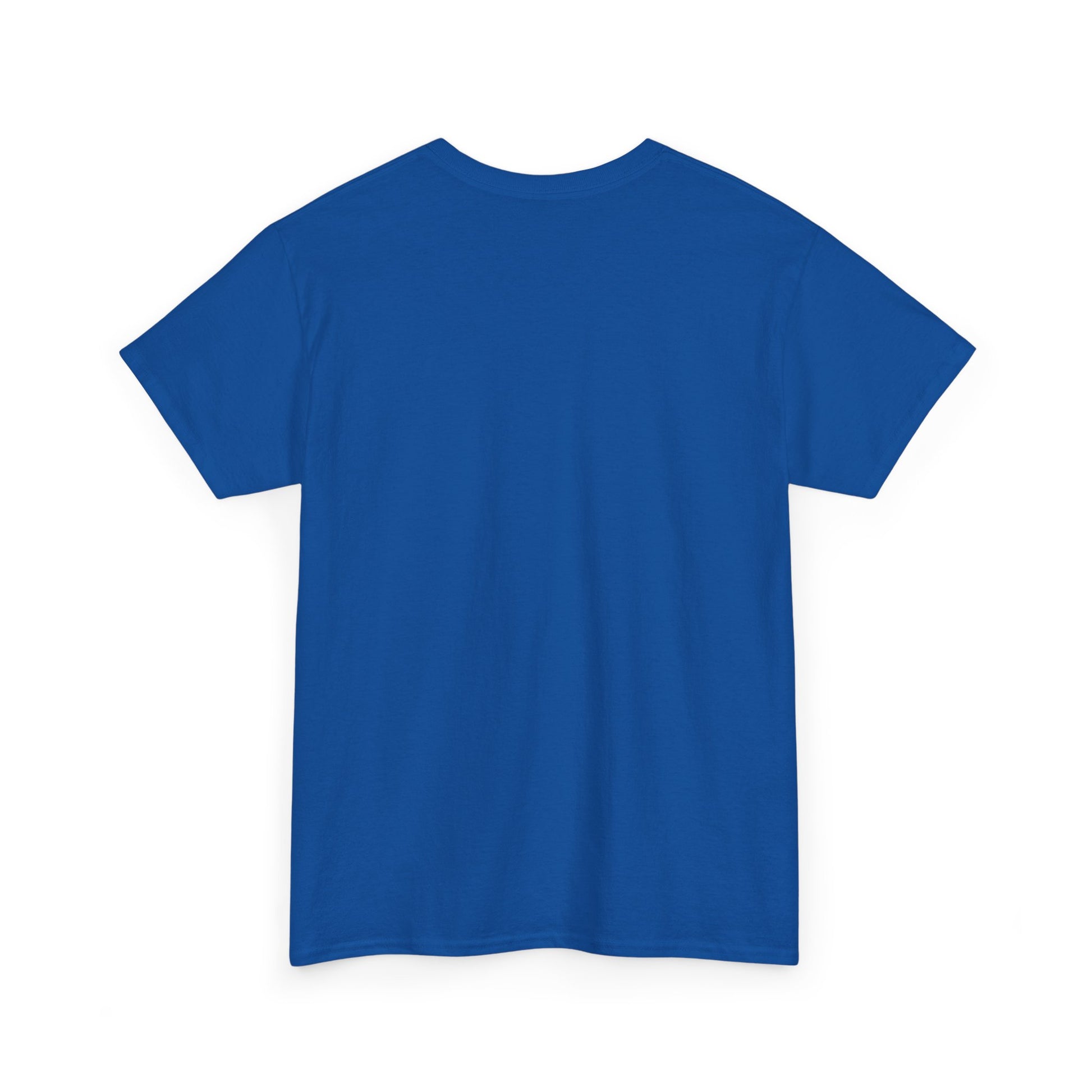 Classic railway train lover graphic t-shirt