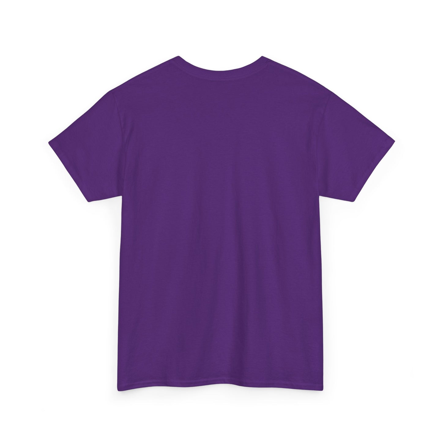 Classic railway train lover graphic t-shirt