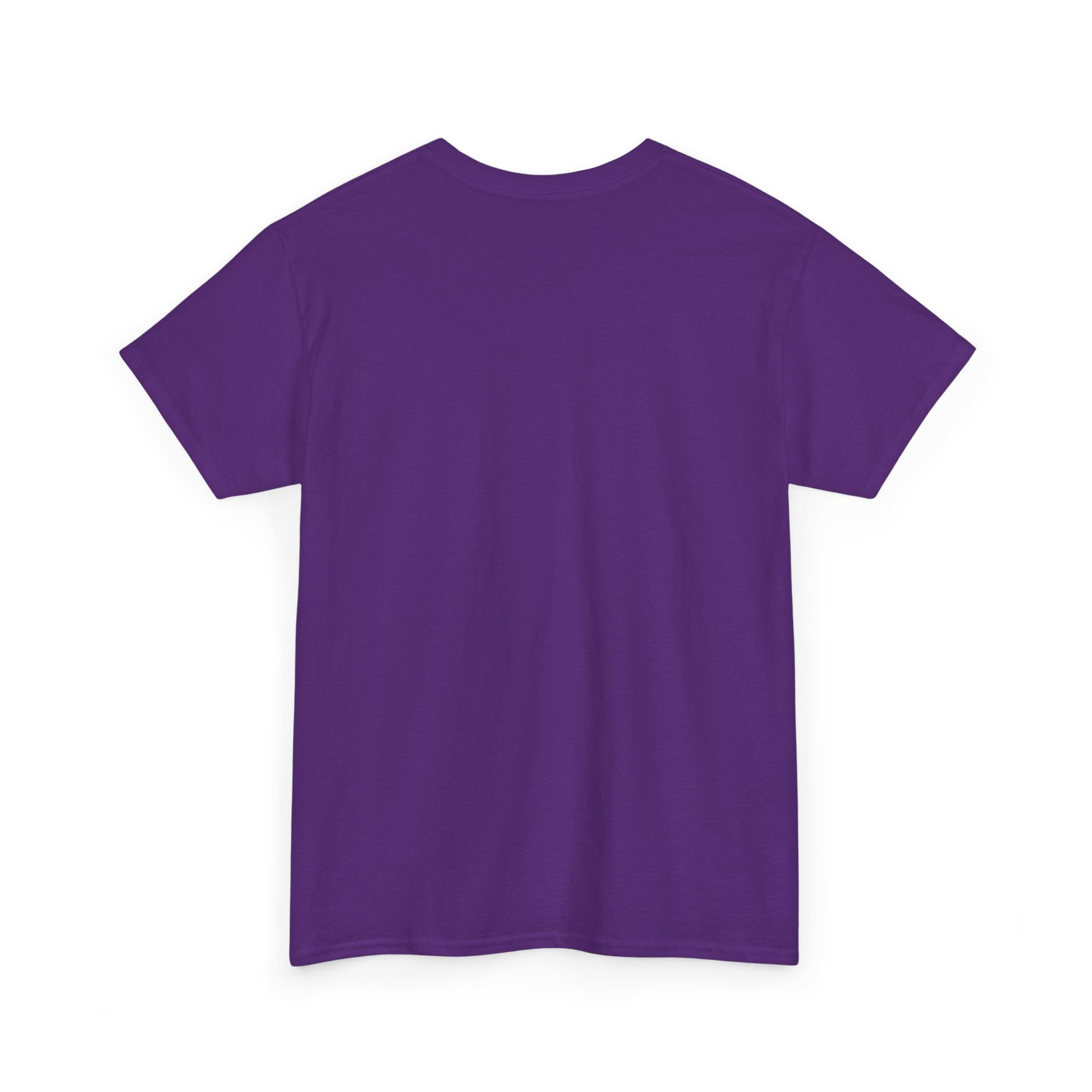Classic railway train lover graphic t-shirt