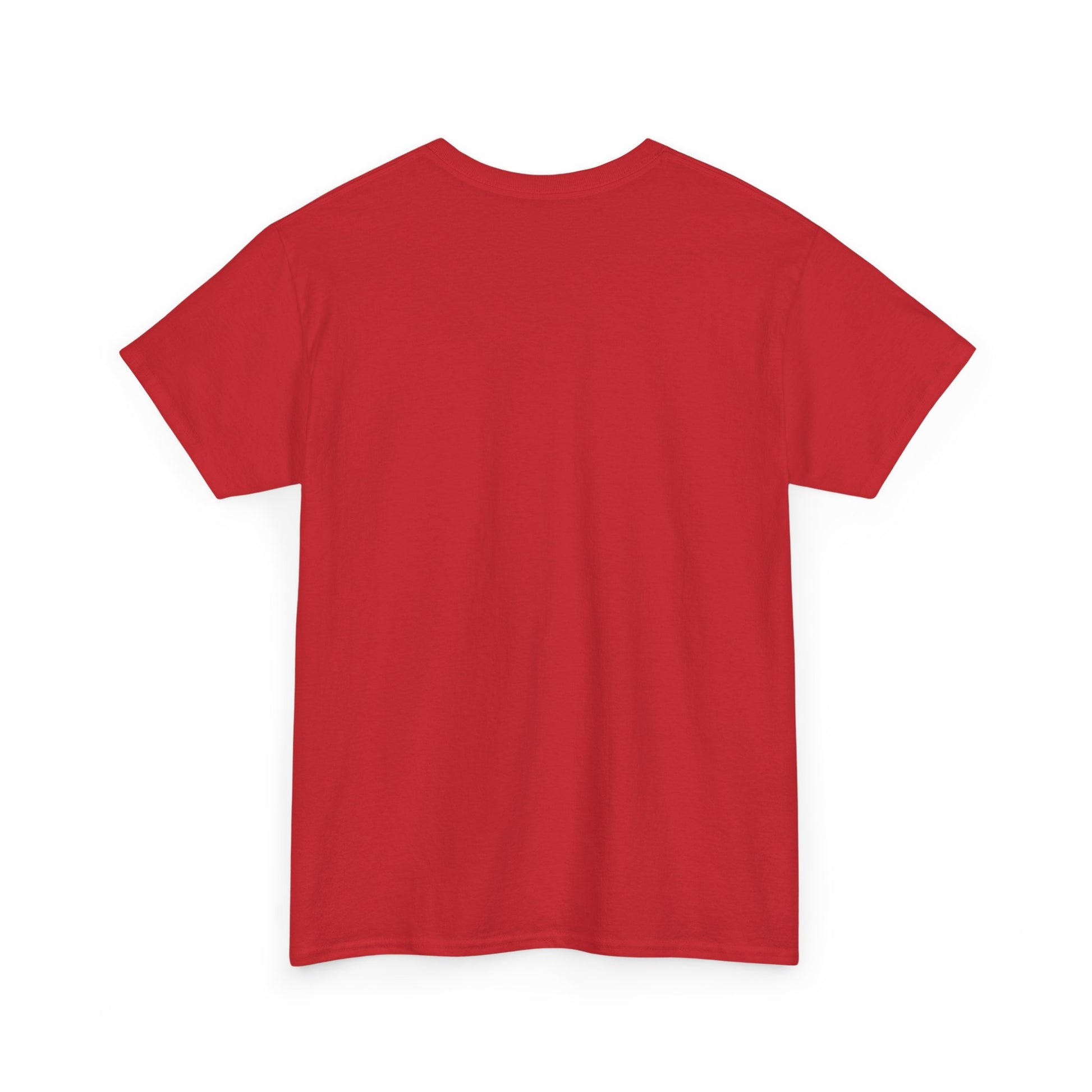 Classic railway train lover graphic t-shirt
