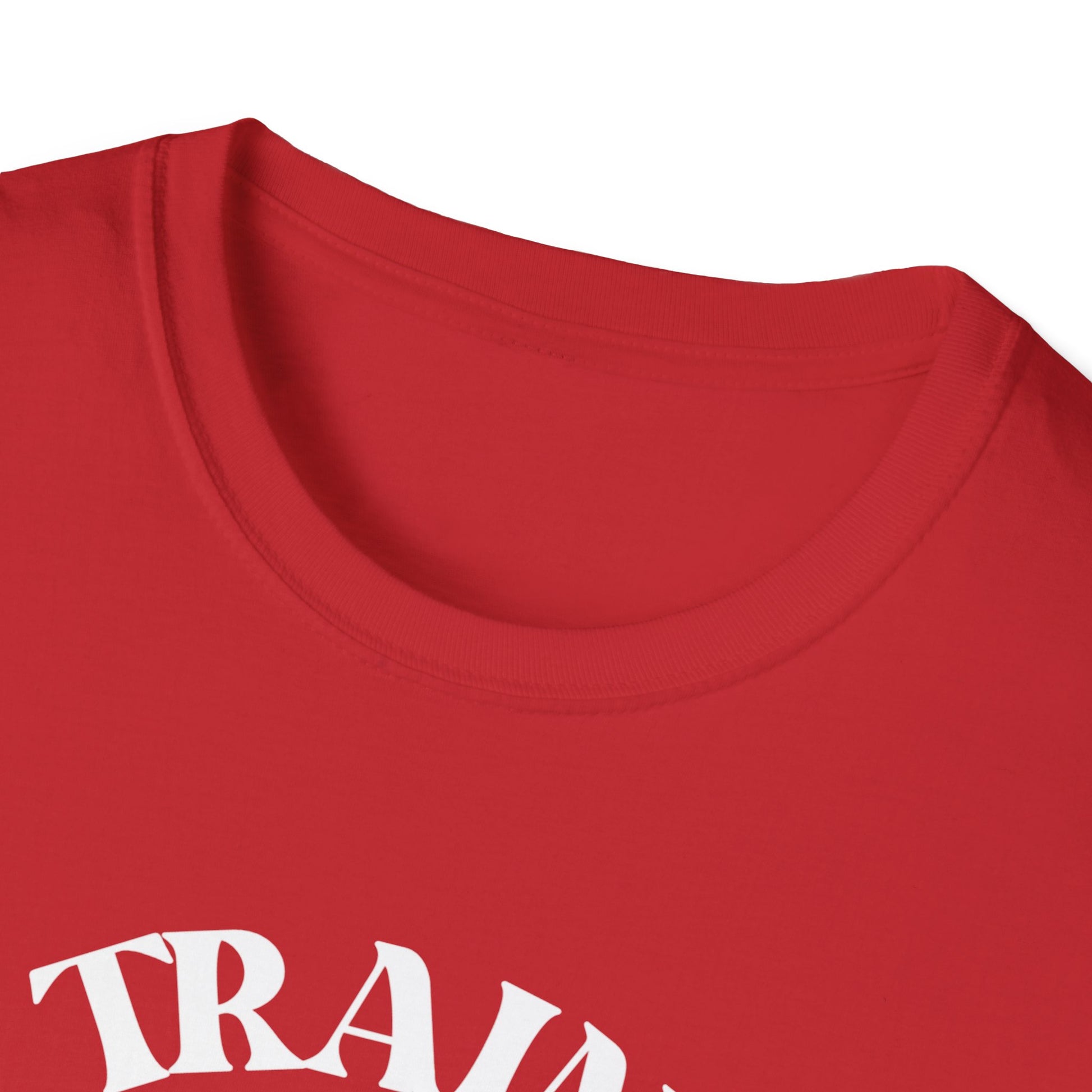 Retro Train Enthusiast T-Shirt, Vintage Train Graphic Tee