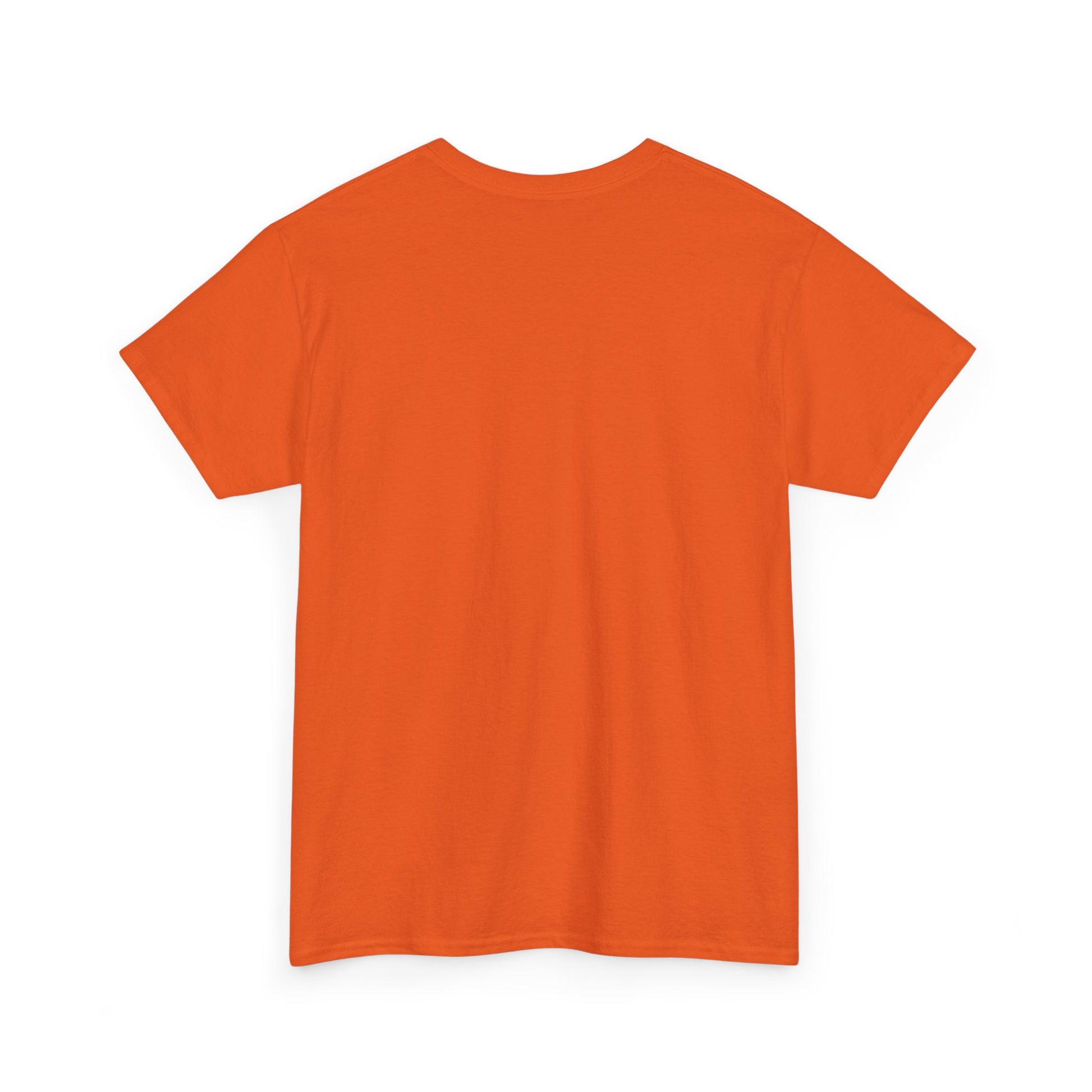 Classic railway train lover graphic t-shirt