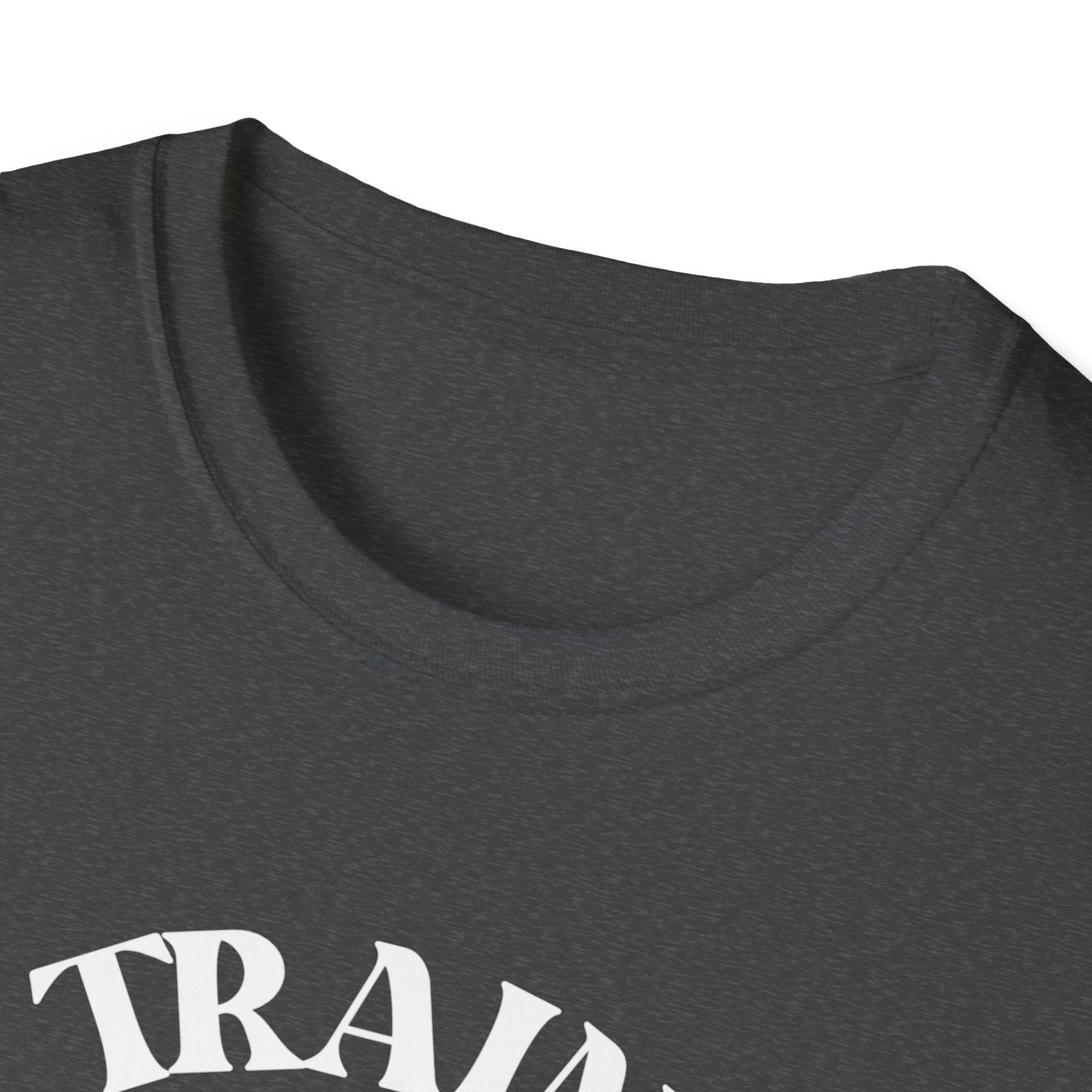 Retro Train Enthusiast T-Shirt, Vintage Train Graphic Tee