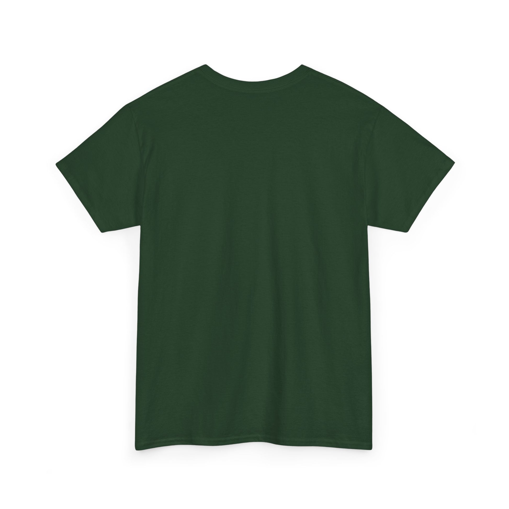 Classic railway train lover graphic t-shirt