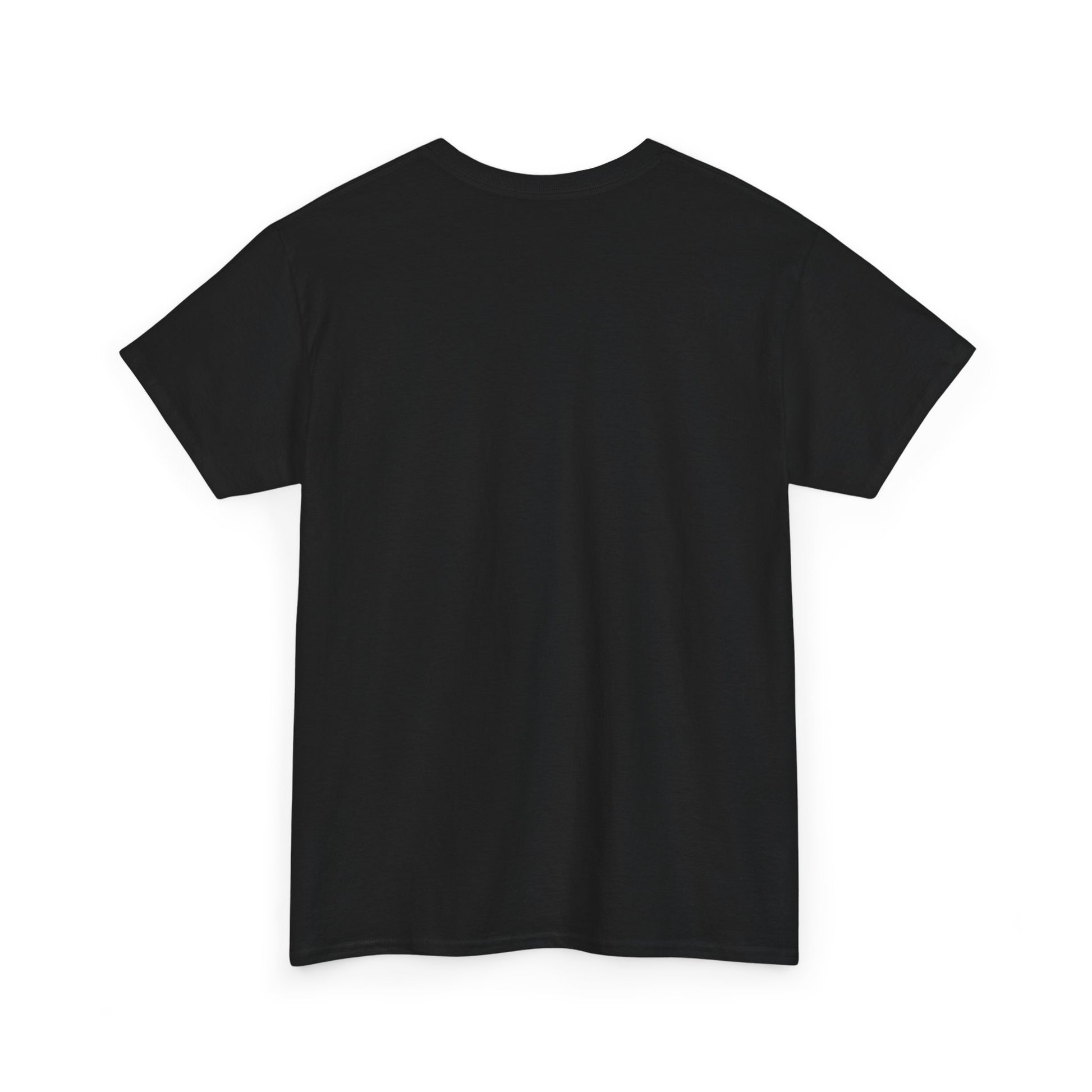 Classic railway train lover graphic t-shirt