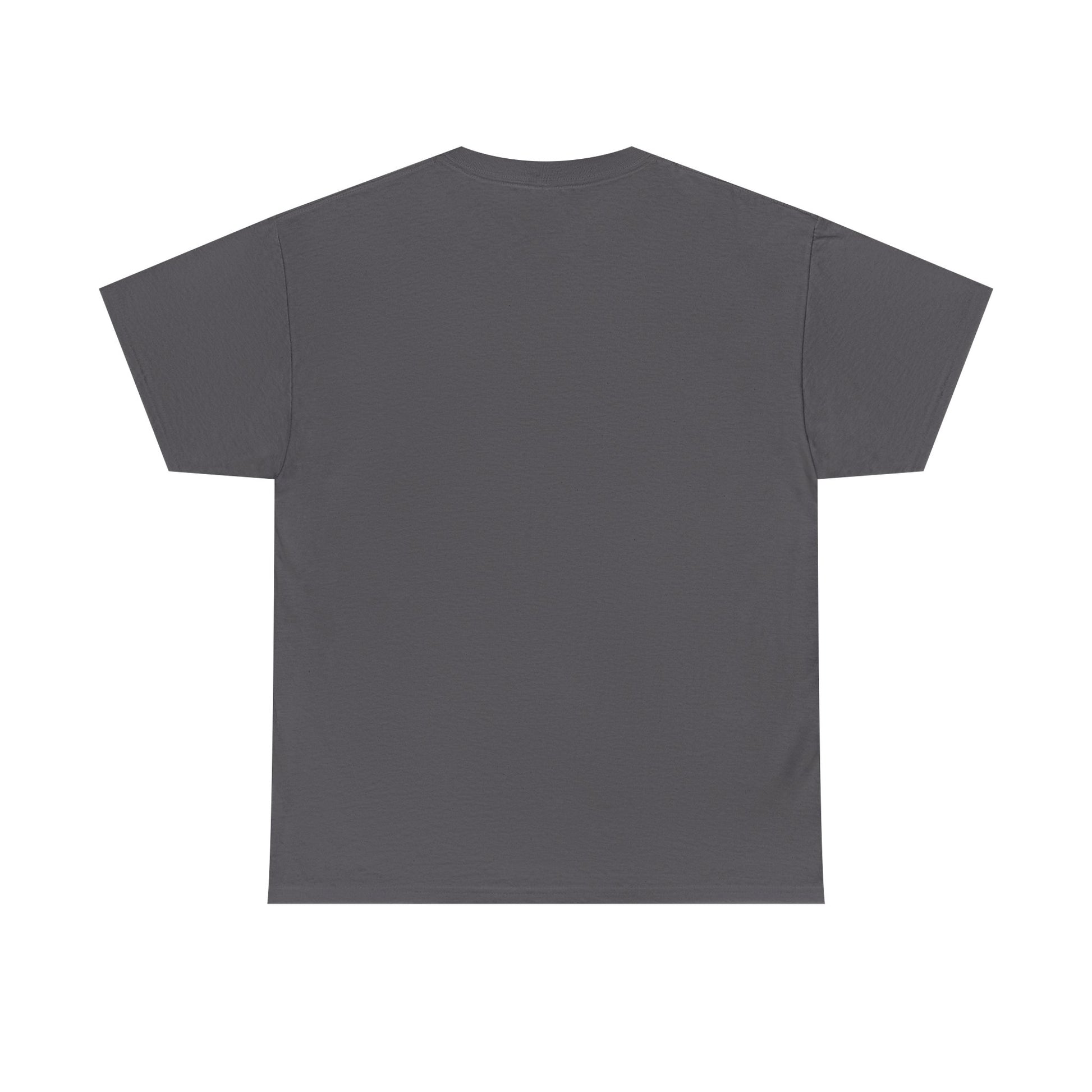 Classic railway train lover graphic t-shirt