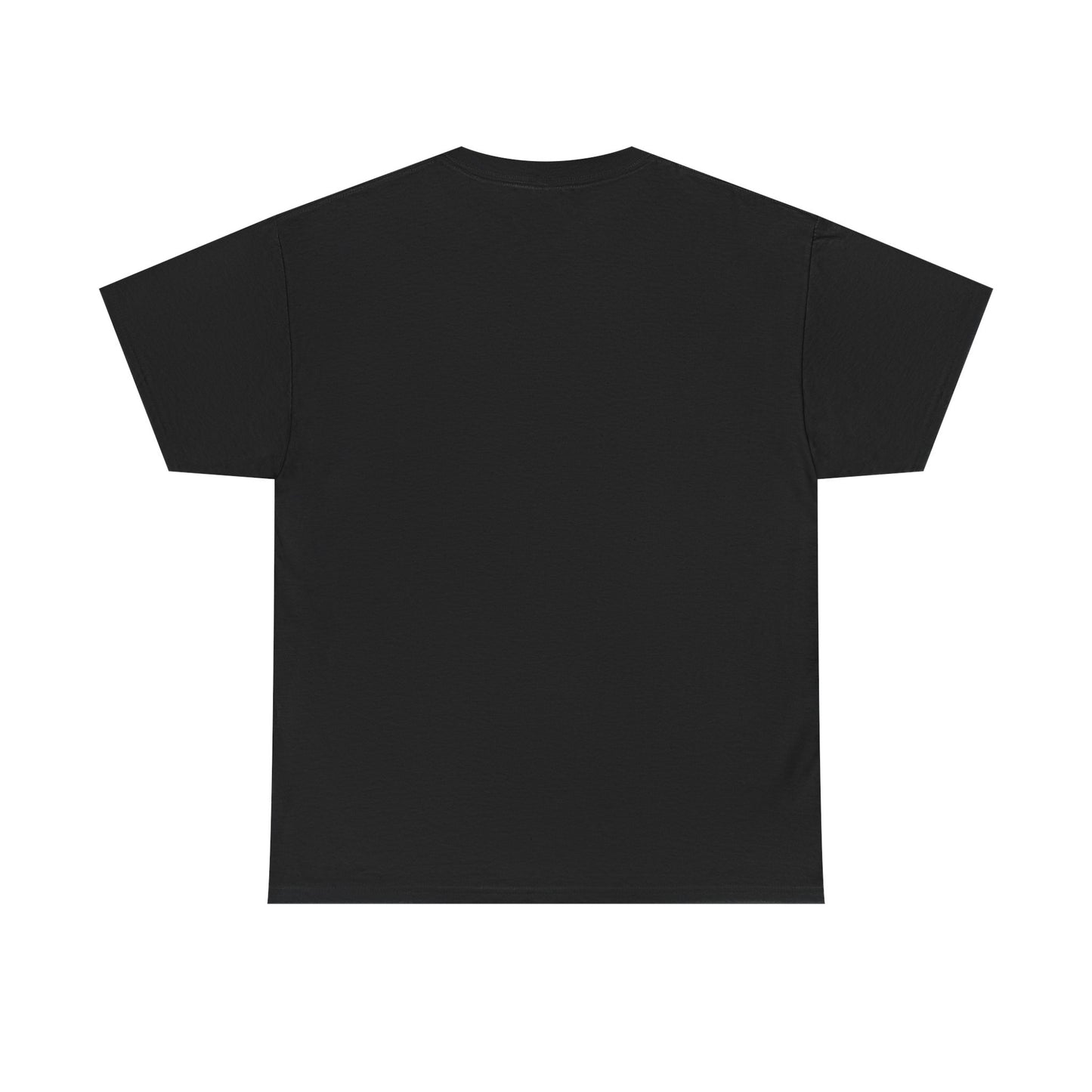 Classic railway train lover graphic t-shirt