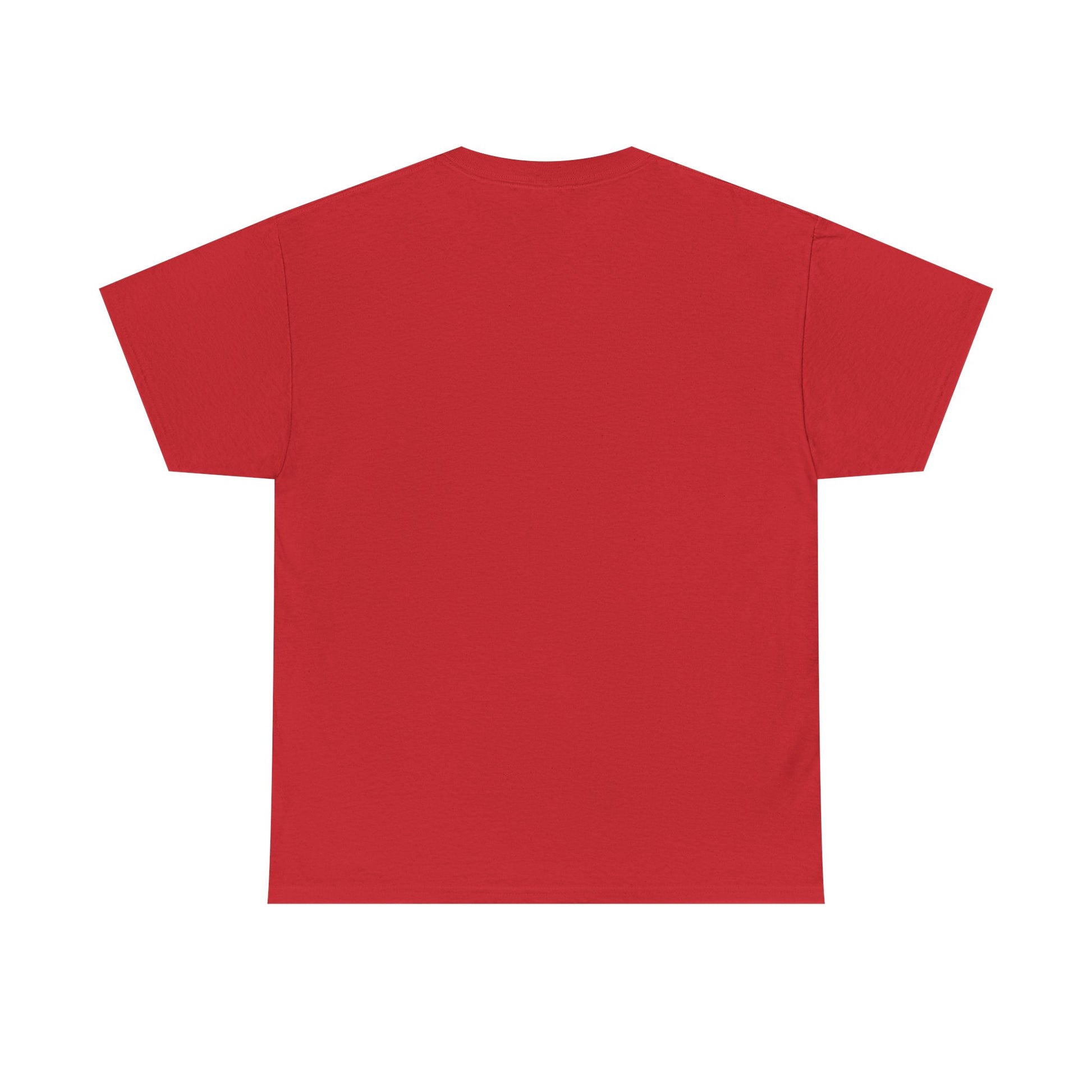 Classic railway train lover graphic t-shirt
