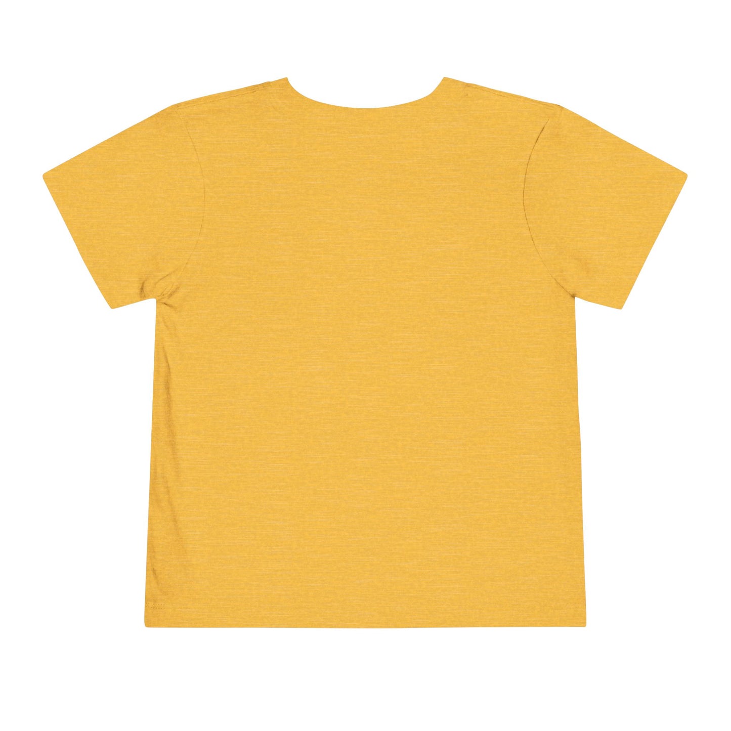Toddler Train Lover T-Shirt | No Cap Trains Are Awesome Fun Train Graphic (2T–5T)