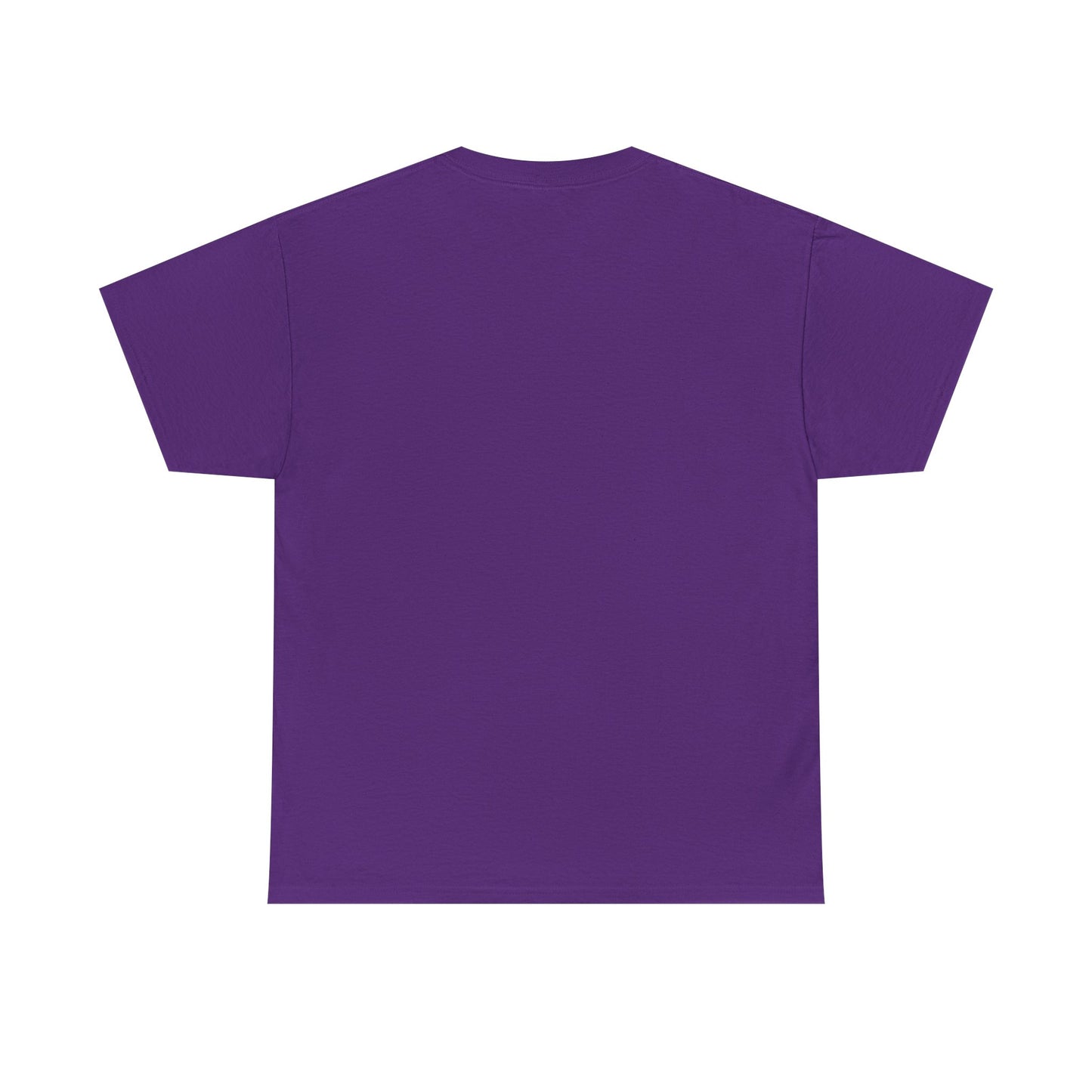 Classic railway train lover graphic t-shirt