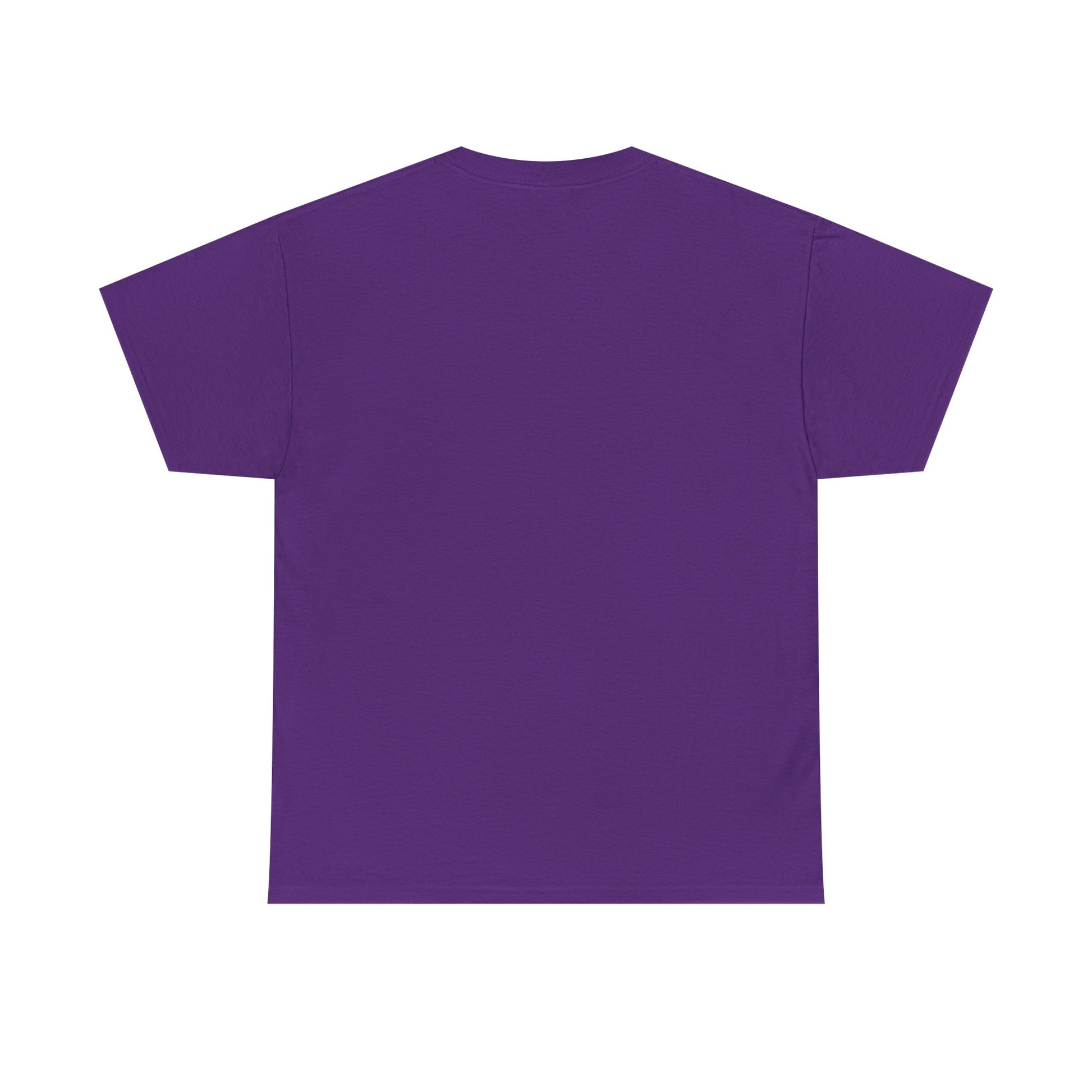 Classic railway train lover graphic t-shirt