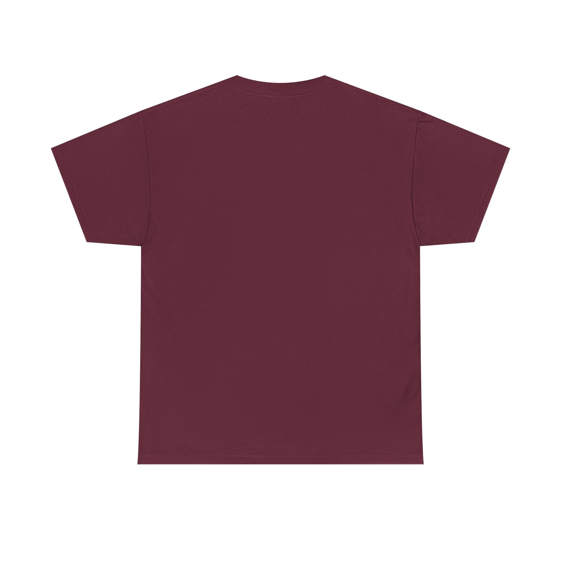Classic railway train lover graphic t-shirt