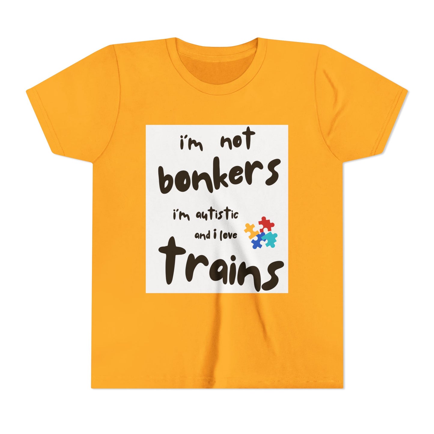 Autism Acceptance Kids Train Lover T-Shirt | Youth Special Interest Tee