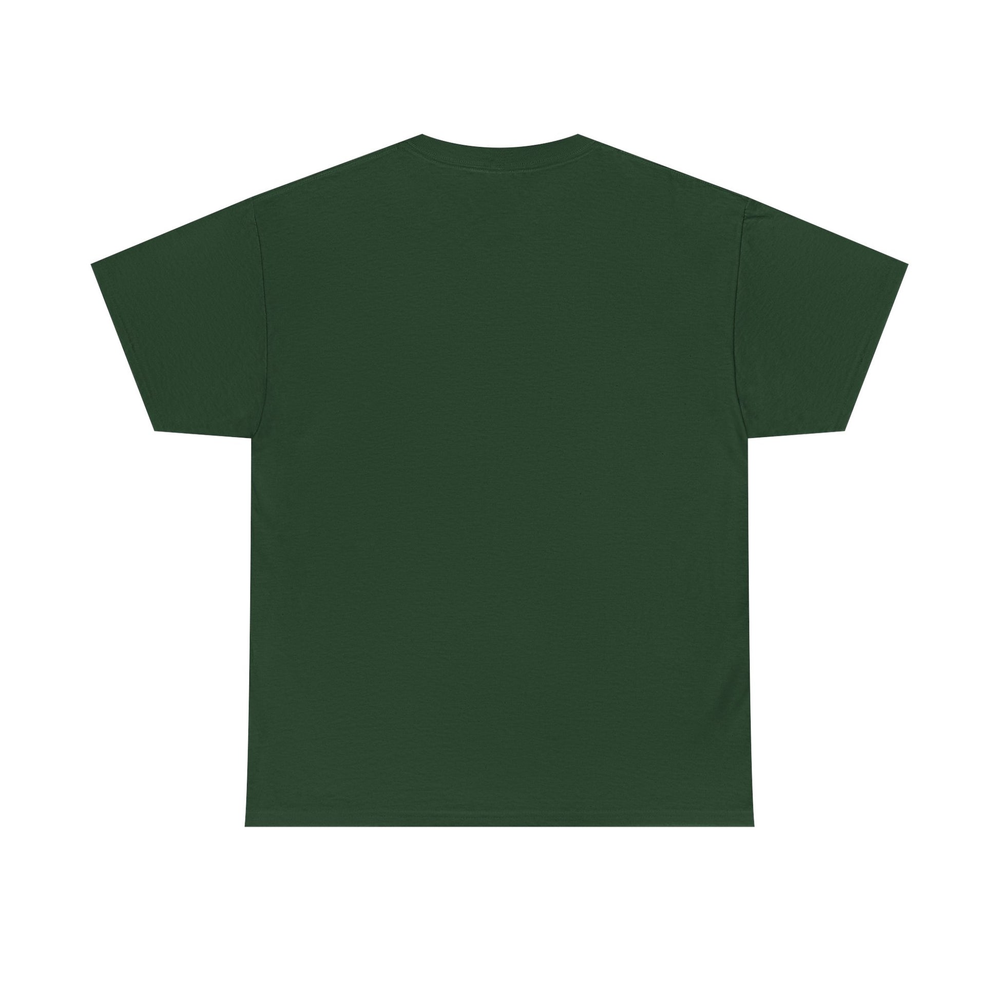 Classic railway train lover graphic t-shirt