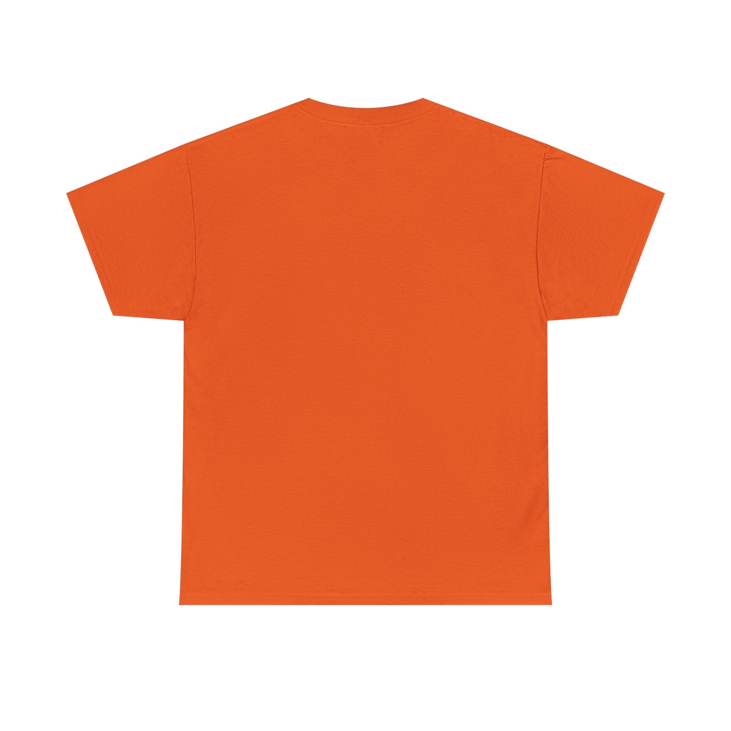 Classic railway train lover graphic t-shirt