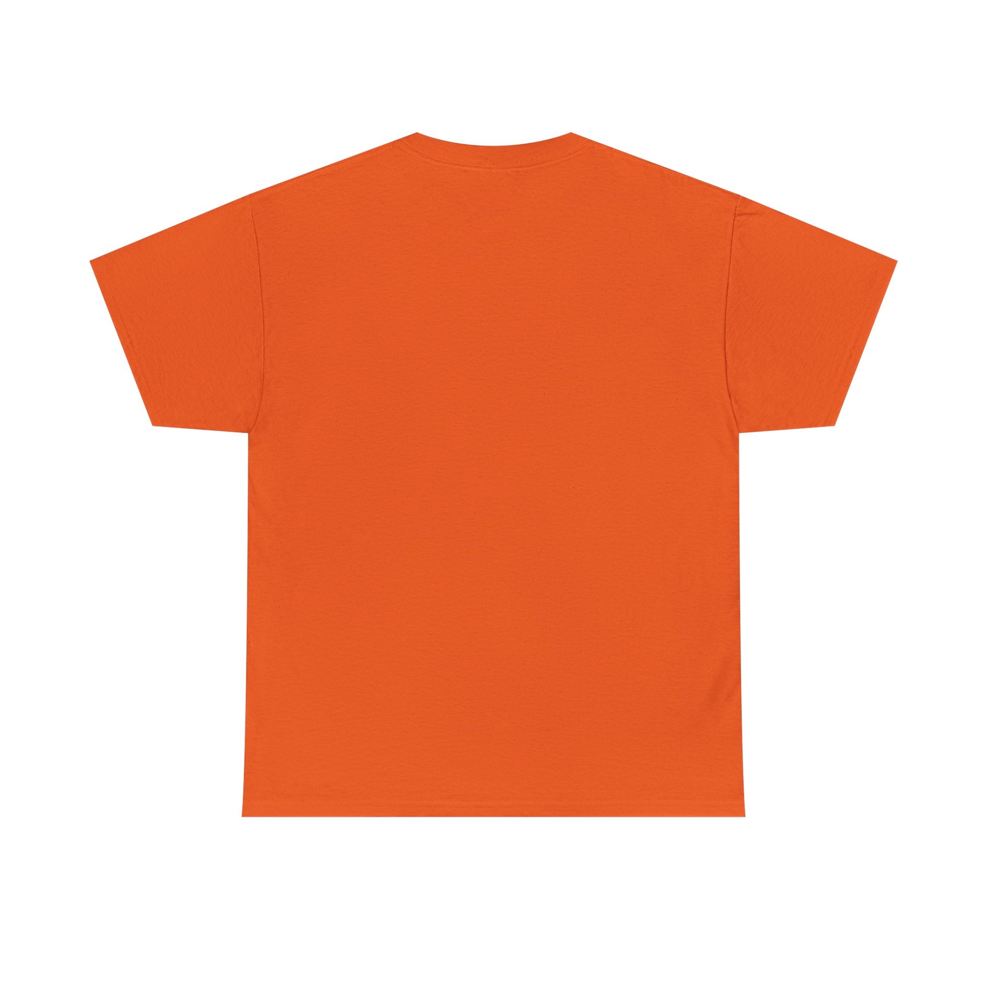 Classic railway train lover graphic t-shirt