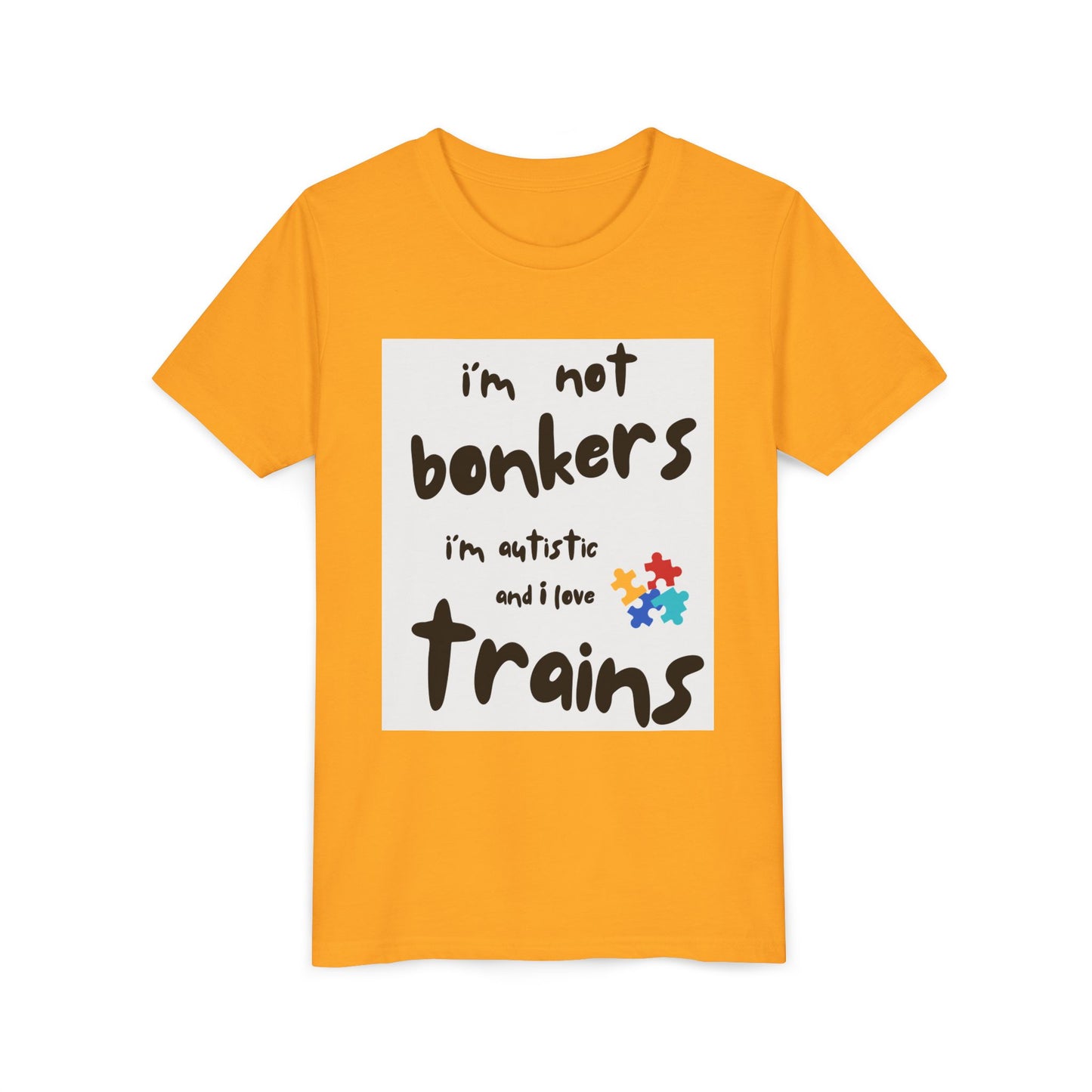 Autism Acceptance Kids Train Lover T-Shirt | Youth Special Interest Tee