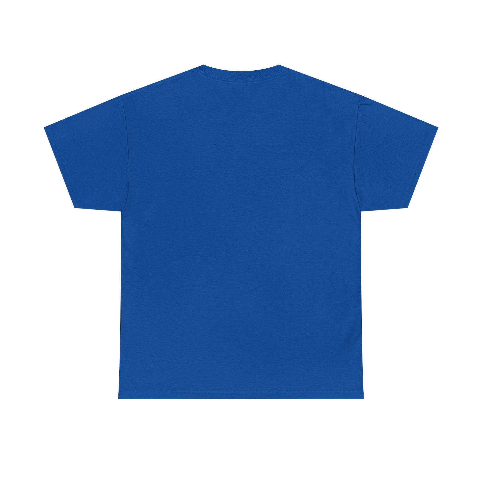 Classic railway train lover graphic t-shirt