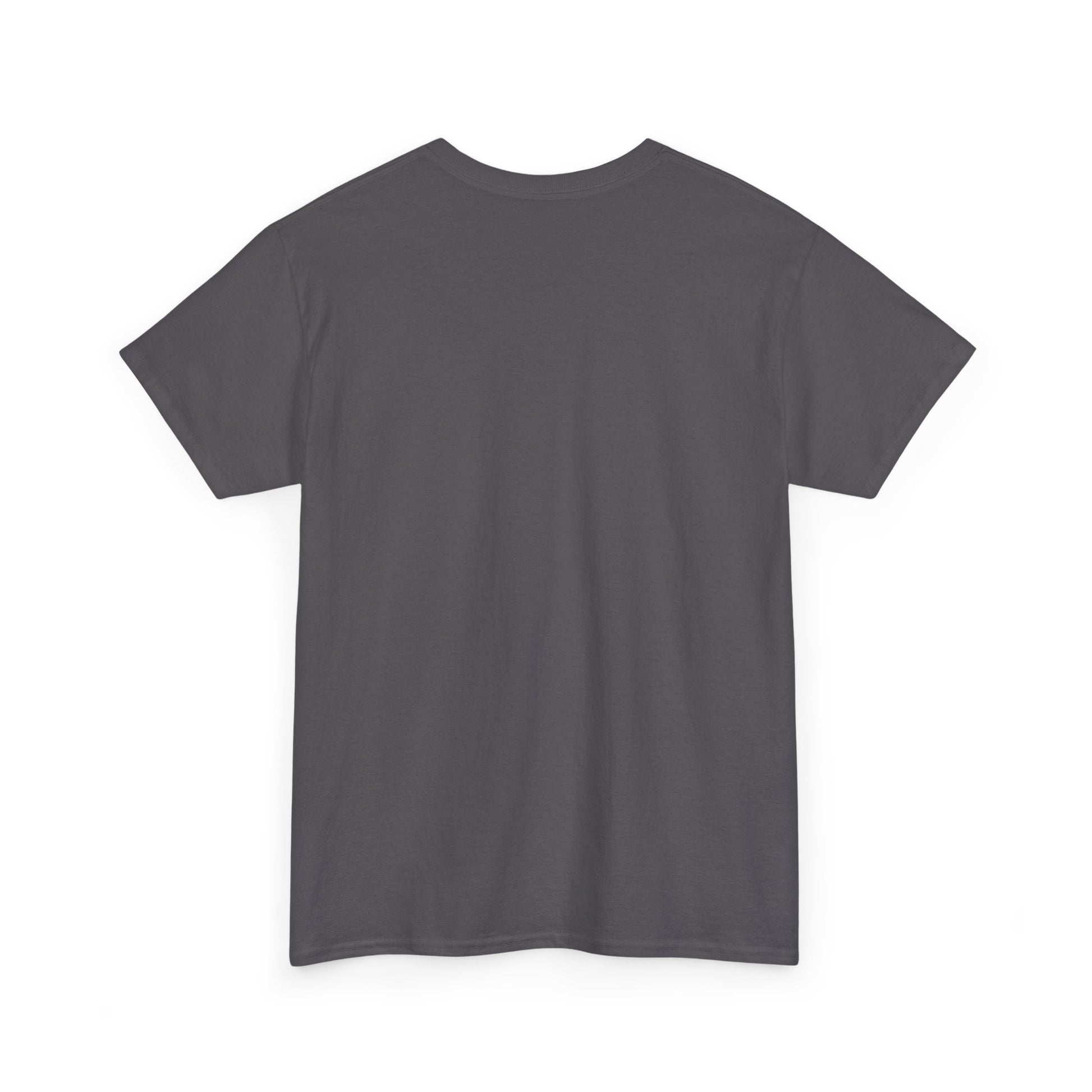 Classic railway train lover graphic t-shirt