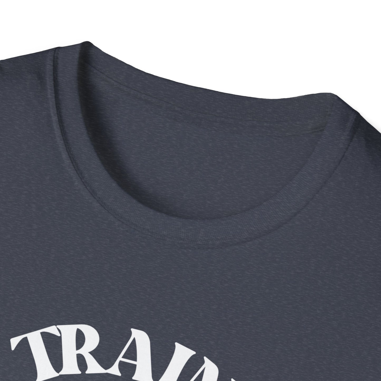 Retro Train Enthusiast T-Shirt, Vintage Train Graphic Tee